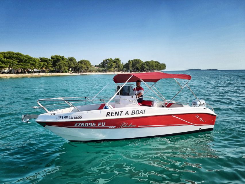 From Fazana: Private sunset dolphin tour - A closer look at the 90-minute itinerary