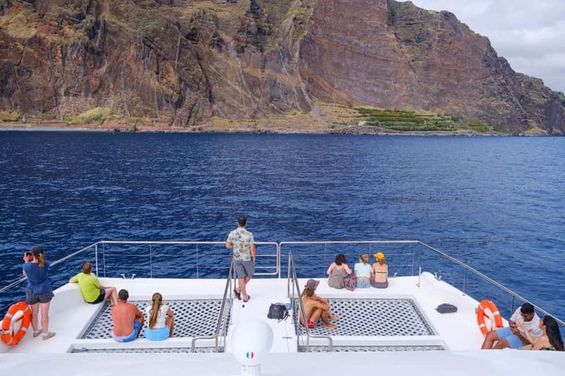 From Funchal: Ecological Catamaran Dolphin Whale Watching - Why the electric engines matter