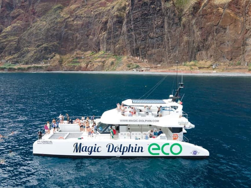 From Funchal: Ecological Catamaran Dolphin Whale Watching - Dolphins, pilot whales, and the luck factor