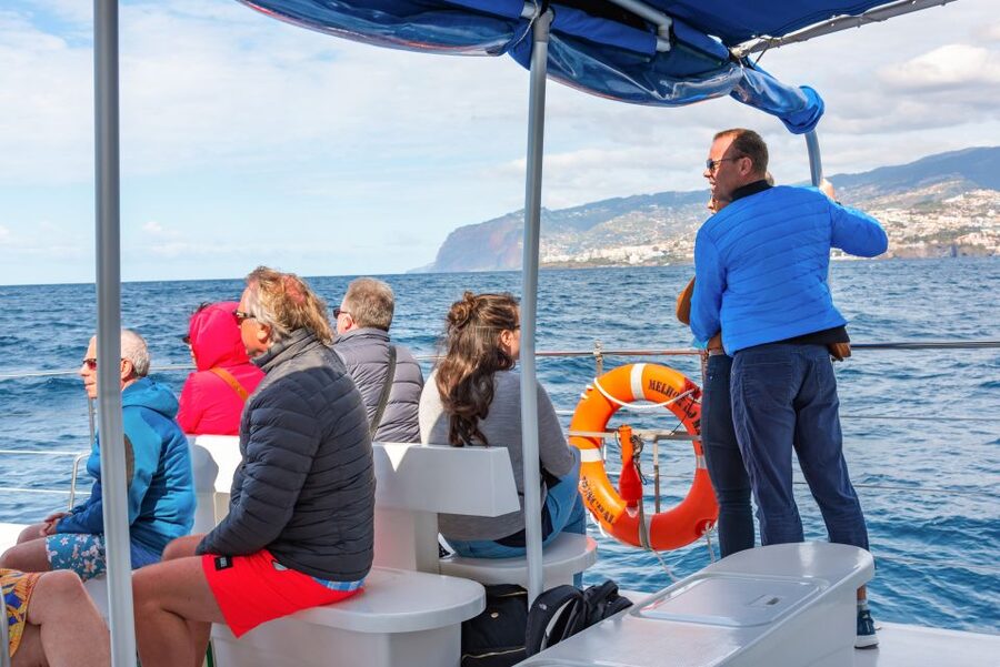 From Funchal: Madeira Dolphin and Whale Watching Tour - Returning along Madeira’s south coast