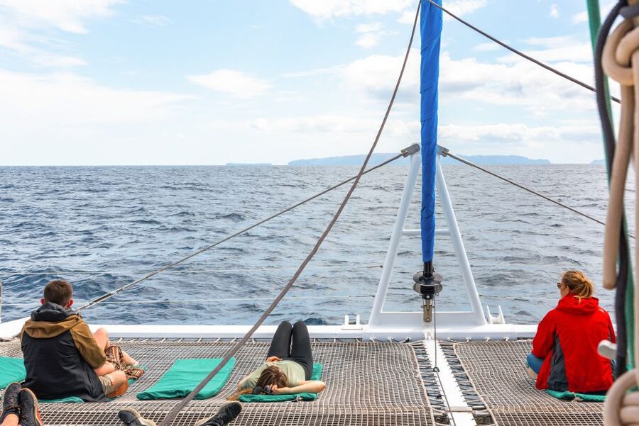 From Funchal: Madeira Dolphin and Whale Watching Tour - How to prepare for a comfortable three hours