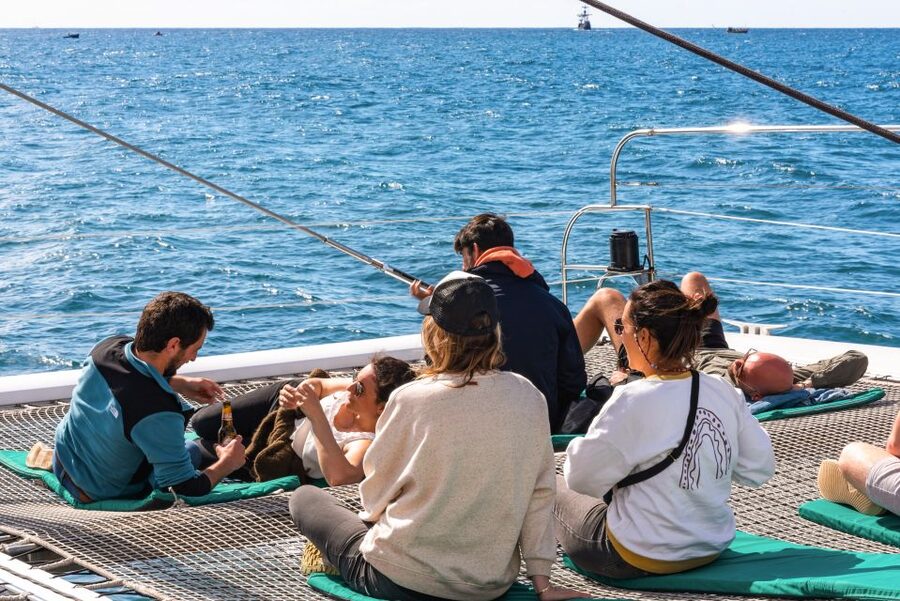 From Funchal: Madeira Dolphin and Whale Watching Tour - Who will enjoy this catamaran cruise most