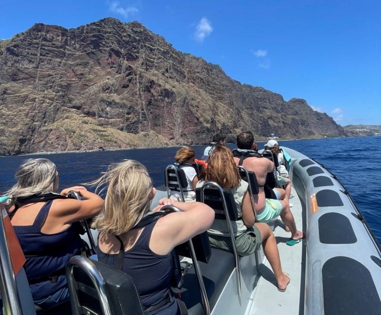 From Funchal: Whale and Dolphin Watching - Key points to know before booking