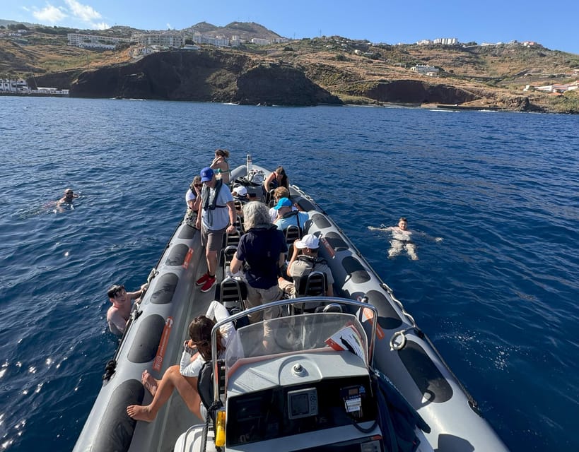 From Funchal: Whale and Dolphin Watching - Two hours on the Atlantic in an 18-seat RIB