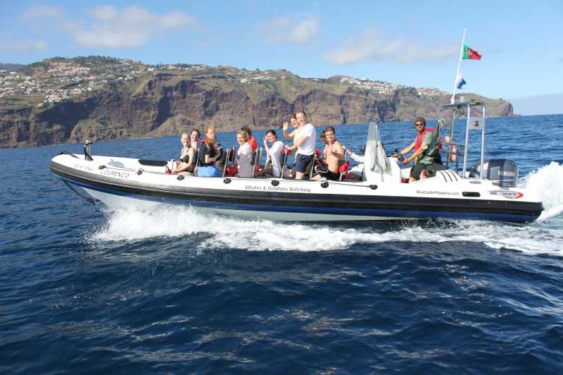 From Funchal: Whales and Dolphin Adventure Tour - Key points to know before booking