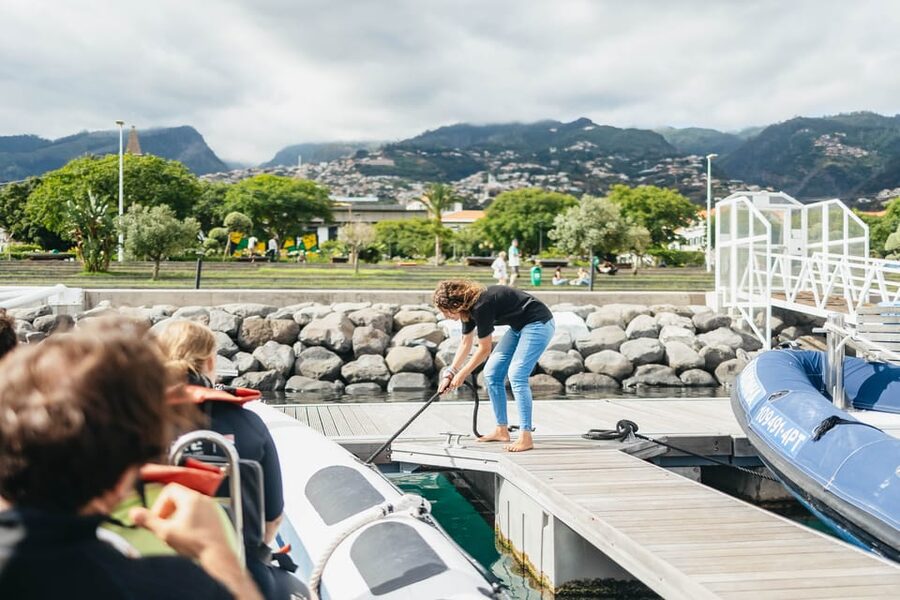 From Funchal: Whales and Dolphin Adventure Tour - Leaving Funchal on a fast, open sea boat