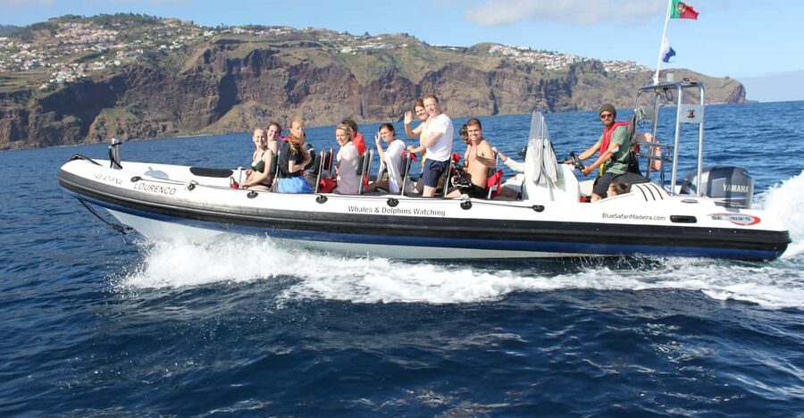 From Funchal: Whales and Dolphin Adventure Tour - Guides who make the sightings mean more