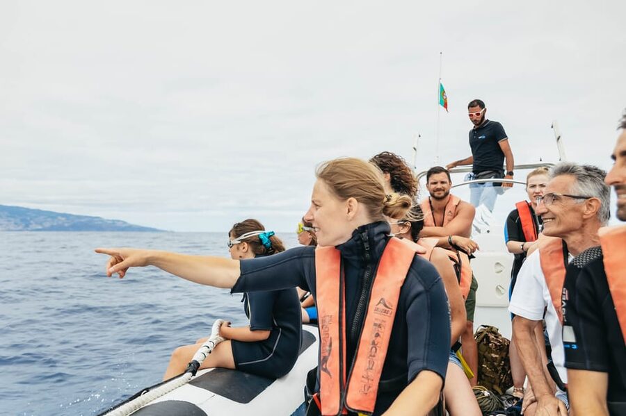 From Funchal: Whales and Dolphin Adventure Tour - What two hours feels like on the water