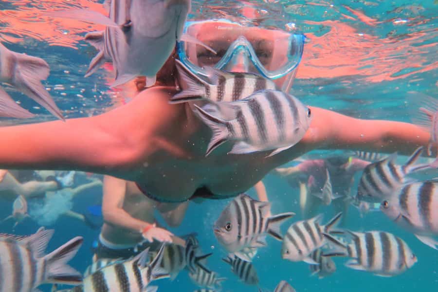 From Kendwa: Mnemba Boat Trip and Dolphin Snorkel Adventure - A crew that pays attention to comfort