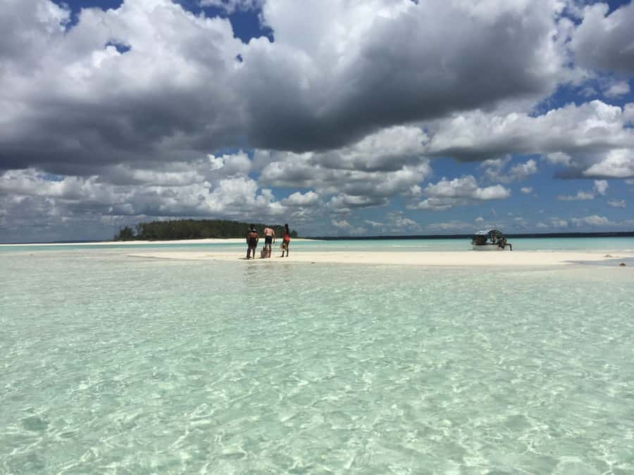 From Kendwa: Mnemba Boat Trip and Dolphin Snorkel Adventure - What $50 includes, and what it does not