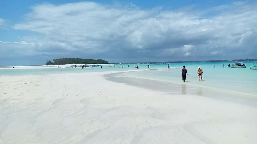 From Kendwa: Mnemba Boat Trip and Dolphin Snorkel Adventure - Who should book this Mnemba morning?