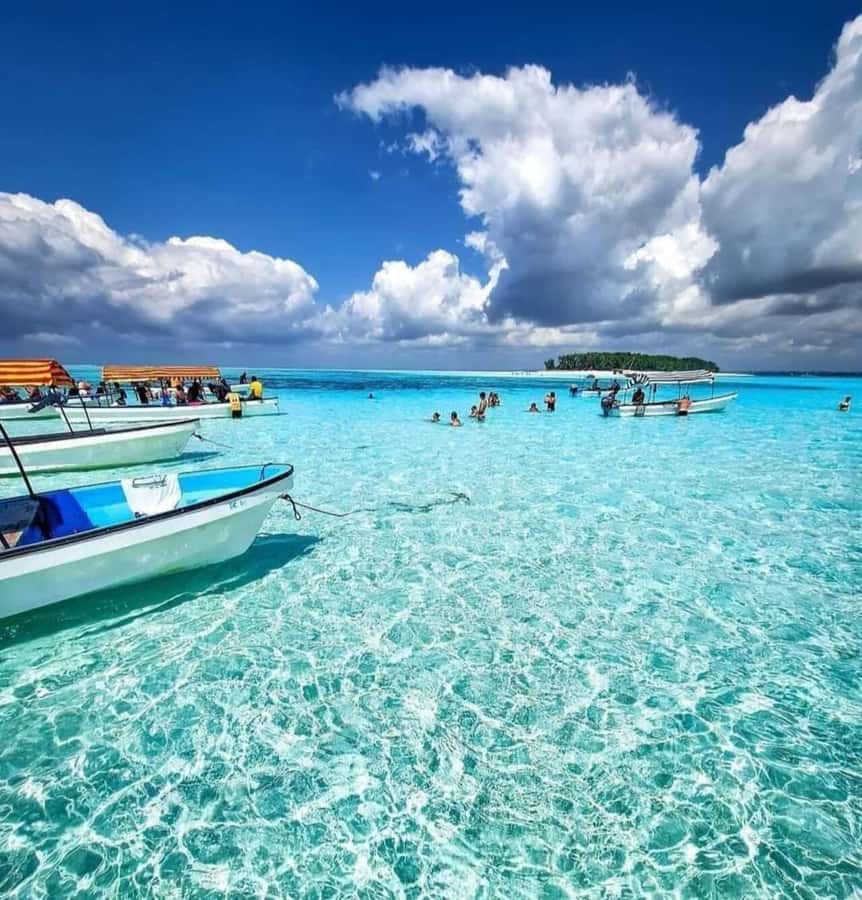 FROM KENDWA; Mnemba snorkelling and Dolphin tour - Dolphin watching, with an optional swim
