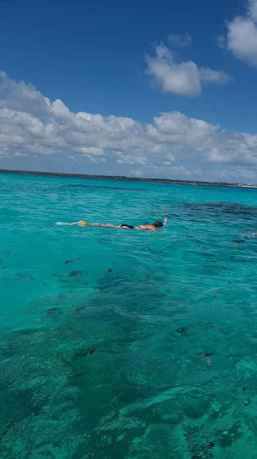 FROM KENDWA; Mnemba snorkelling and Dolphin tour - Fruit, water, and the practical side of the day