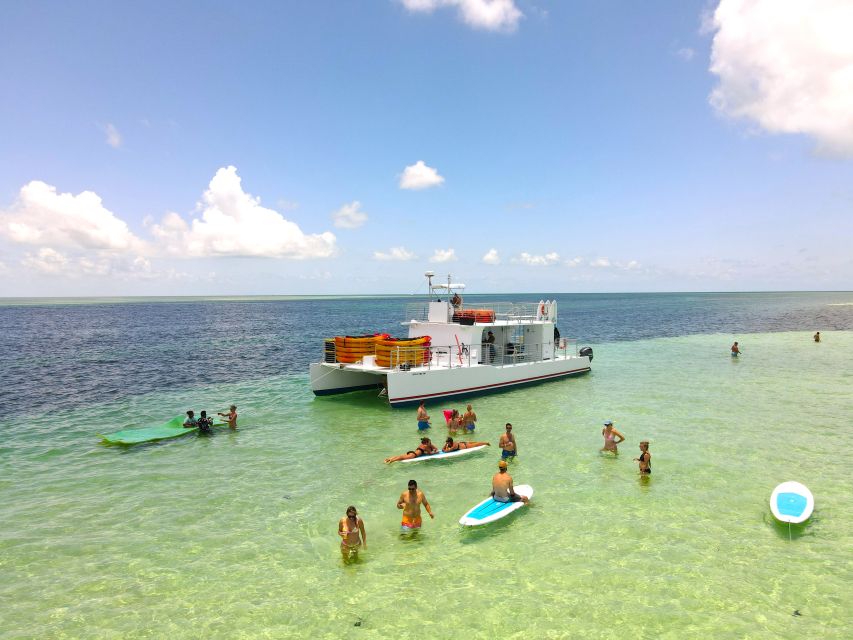 From Key West: Dolphin Watching Tour with Lunch & Drinks - Key West by boat, with the sandbar first