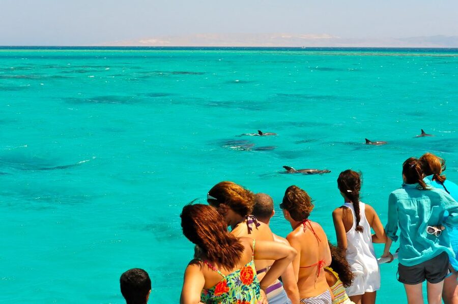 From Key West: Dolphin Watching Tour with Lunch & Drinks - Looking for dolphins in the Florida Marine Sanctuary