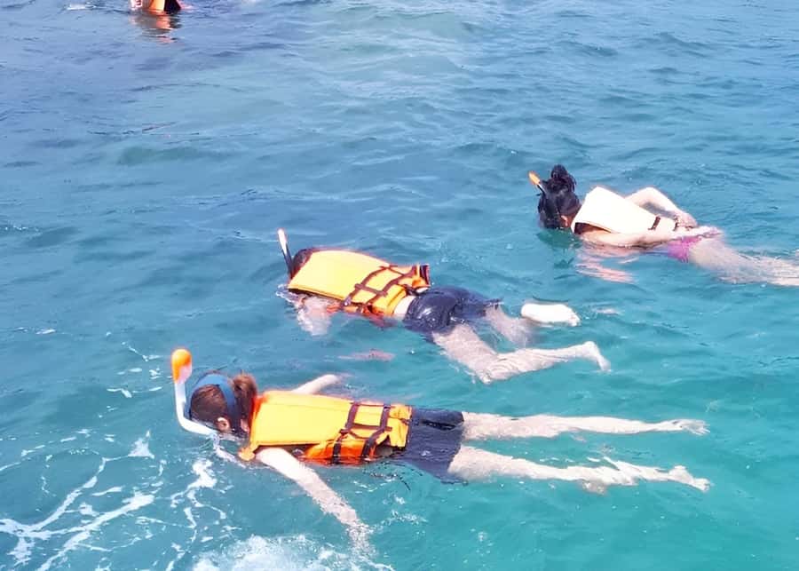 From Koh Samui: Pink Dolphin Boat Tour to Khanom with Lunch - Watching for pink dolphins near Pancake Stone