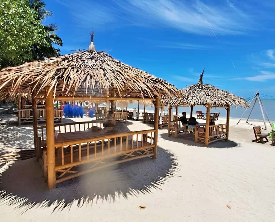 From Koh Samui: Pink Dolphin Boat Tour to Khanom with Lunch - Snorkeling at Ko Taen