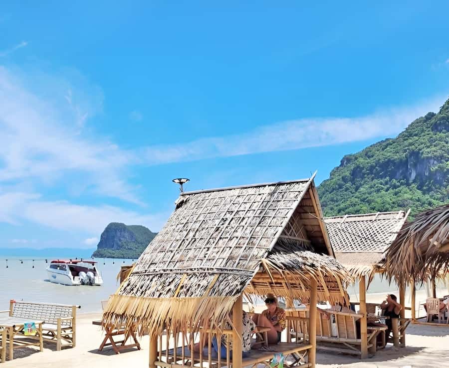 From Koh Samui: Pink Dolphin Boat Tour to Khanom with Lunch - What the $71 price really covers
