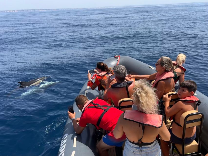 From Lagoa: Dolphins & Ponta da Piedade with biologist guide - Price, group size, and what you receive