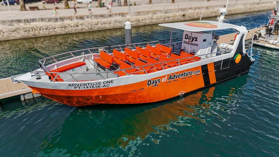 FROM LAGOS: BENAGIL AND DOLPHIN WATCHING - JETBOAT - Two Algarve highlights in one 138-minute trip