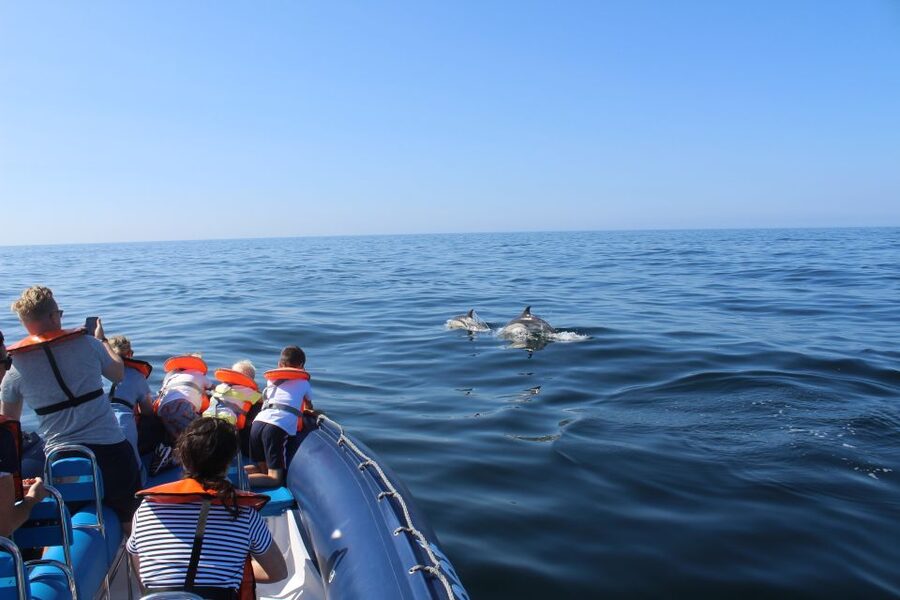 From Lagos: Dolphin Watching Boat Trip w/Marine Biologists - Leaving Lagos Marina for the Atlantic