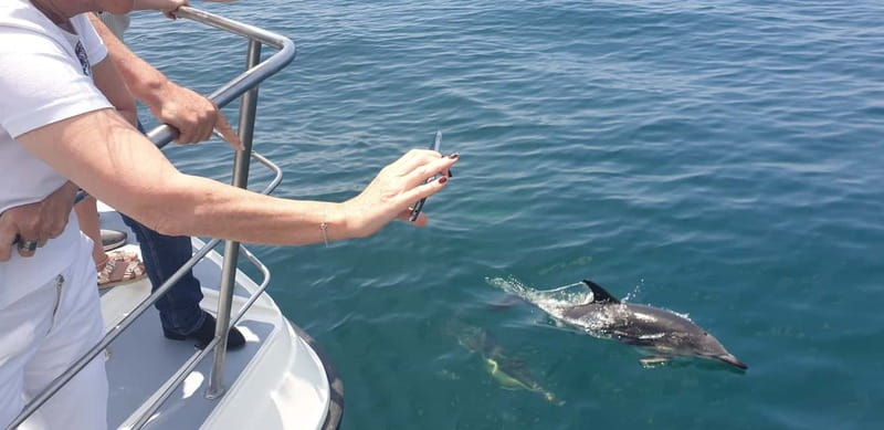 From Lagos: Dolphin Watching Catamaran Cruise - What the $47 price gets you