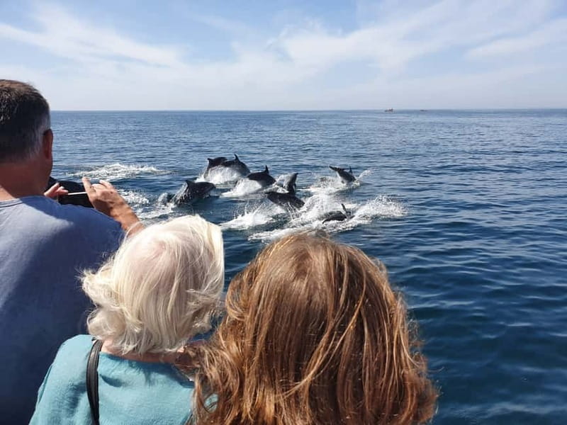 From Lagos: Dolphin Watching Catamaran Cruise - Who will enjoy this trip most