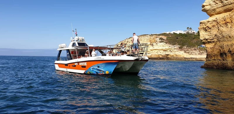 From Lagos: Dolphin Watching Catamaran Cruise - Searching for dolphins in open water