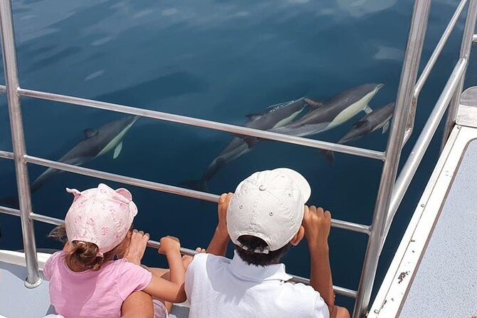 From Lagos: Dolphin Watching Cruise on a Catamaran - Key points to know before booking