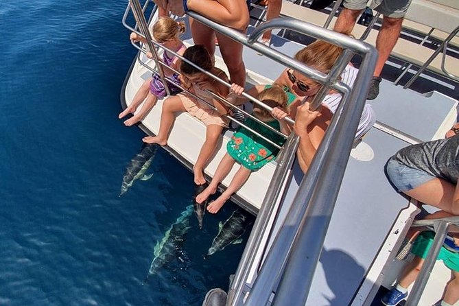 From Lagos: Dolphin Watching Cruise on a Catamaran - Commentary, crew, and the extra coastal views