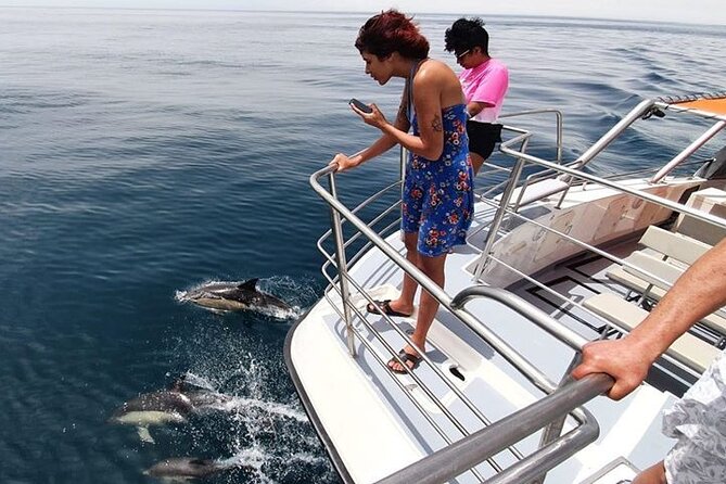 From Lagos: Dolphin Watching Cruise on a Catamaran - Accessibility and family suitability