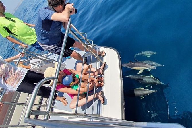 From Lagos: Dolphin Watching Cruise on a Catamaran - Is $48.39 a fair price?