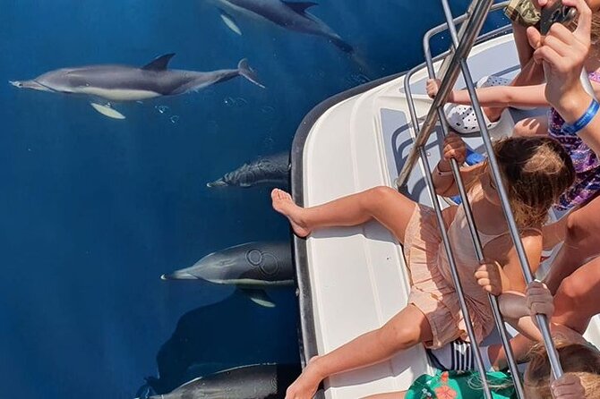 From Lagos: Dolphin Watching Cruise on a Catamaran - Practical booking advice for a smoother trip