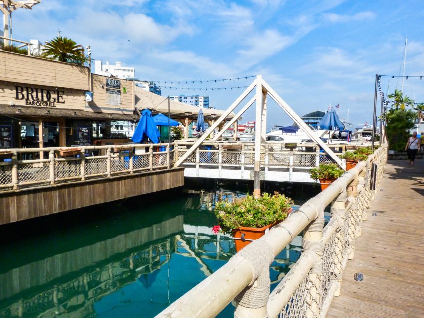 From Malaga: Day trip to Gibraltar and Dolphin Boat Tour - Practical advice for a smoother day