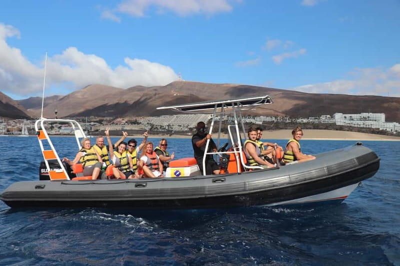 From Morro Jable: Dolphin and Whale Watching and Snorkelling - Should you book the Morro Jable dolphin trip?