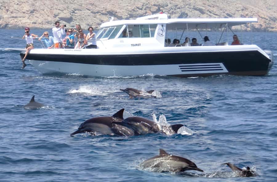 From Muscat: Discover Dolphins Day Trip - Watching dolphins in Muscat’s open water