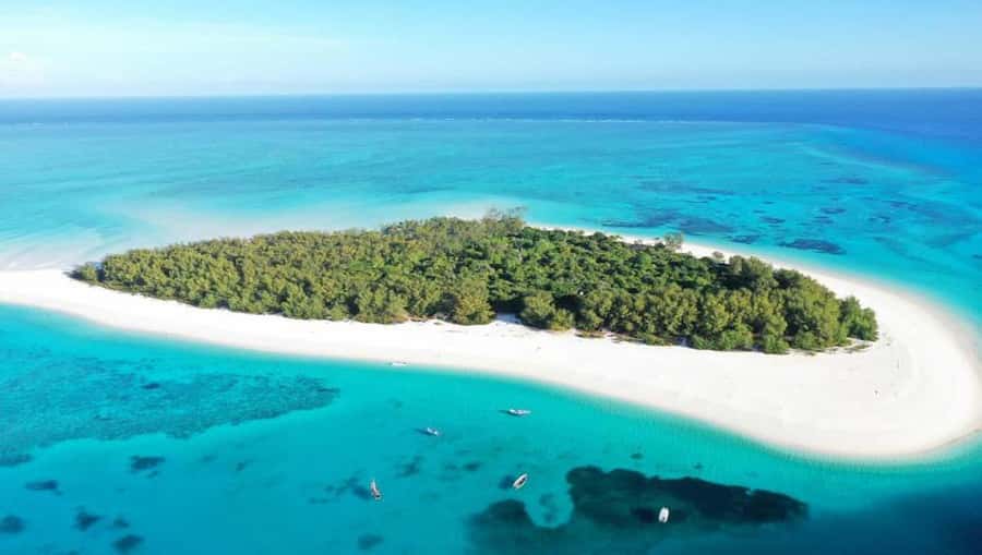 From Nungwi : Mnemba Boat Trip and Dolphin Snorkel Adventure - Dolphin watching, with an important catch