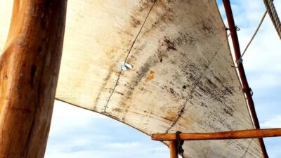 From Nungwi : Mnemba Boat Trip and Dolphin Snorkel Adventure