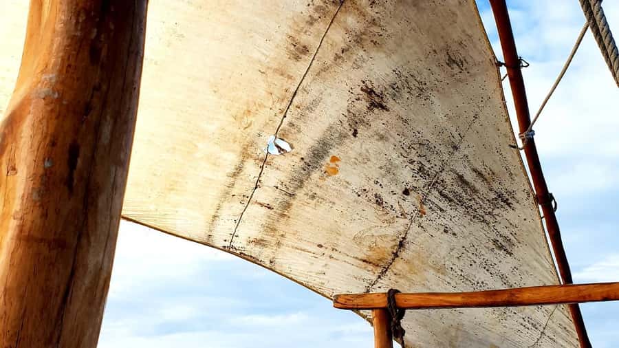 From Nungwi : Mnemba Boat Trip and Dolphin Snorkel Adventure - Mnemba’s coral reef is the dependable highlight
