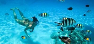 From Nungwi: Mnemba Island Dolphin Watching and Snorkeling