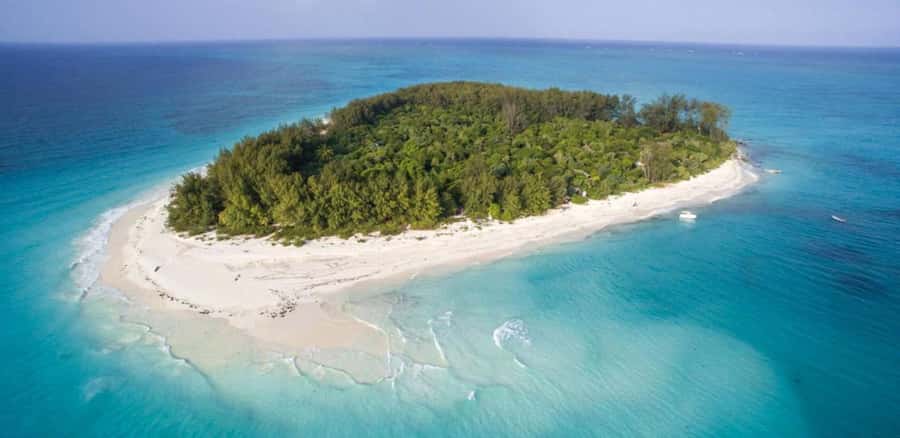 FROM NUNGWI; MNEMBA SNORKELING AND DOLPHIN TOUR - The sandbank, sea stars, and a slower finish