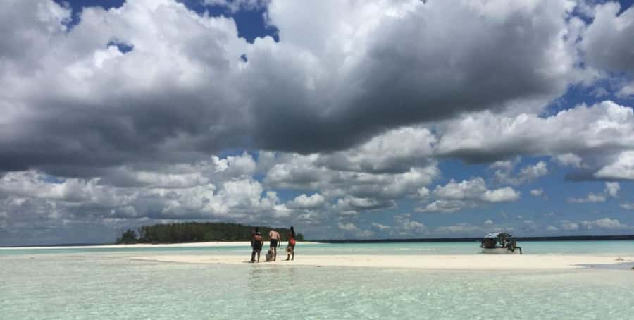 FROM NUNGWI; MNEMBA SNORKELING AND DOLPHIN TOUR - What the $45 price really includes