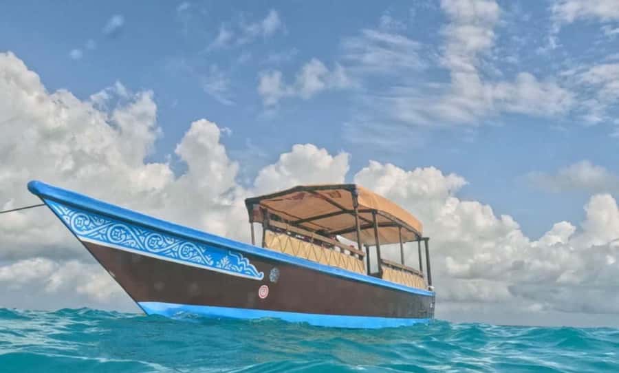 FROM NUNGWI; MNEMBA SNORKELING AND DOLPHIN TOUR - Practical advice for a better day