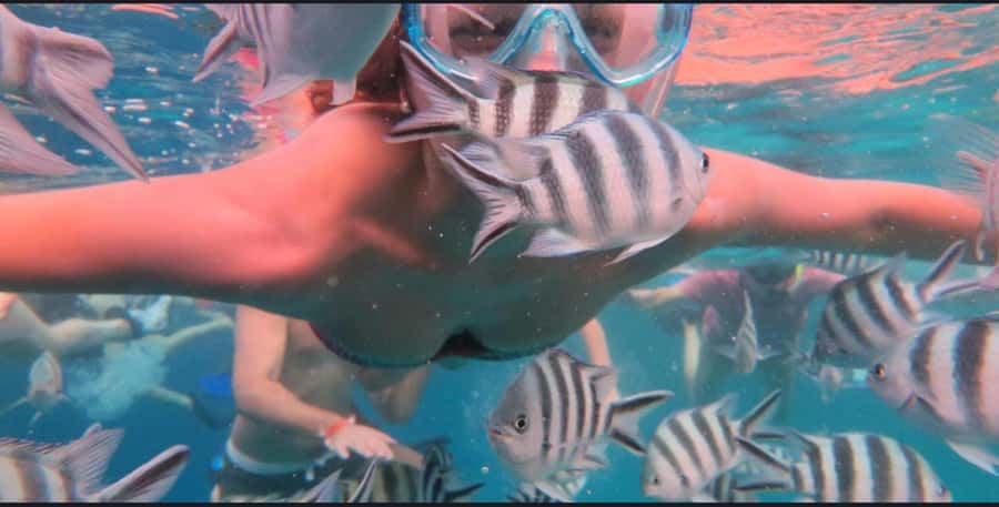FROM NUNGWI; MNEMBA SNORKELING AND DOLPHIN TOUR - Leaving Nungwi by dhow