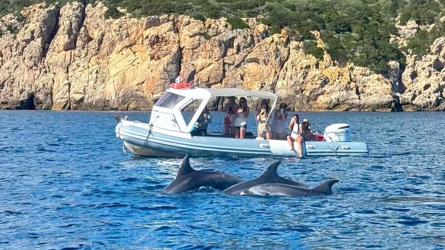 From Olbia: RIB Tour to Capo Figari with Dolphin Sighting - Snorkeling beneath Capo Figari