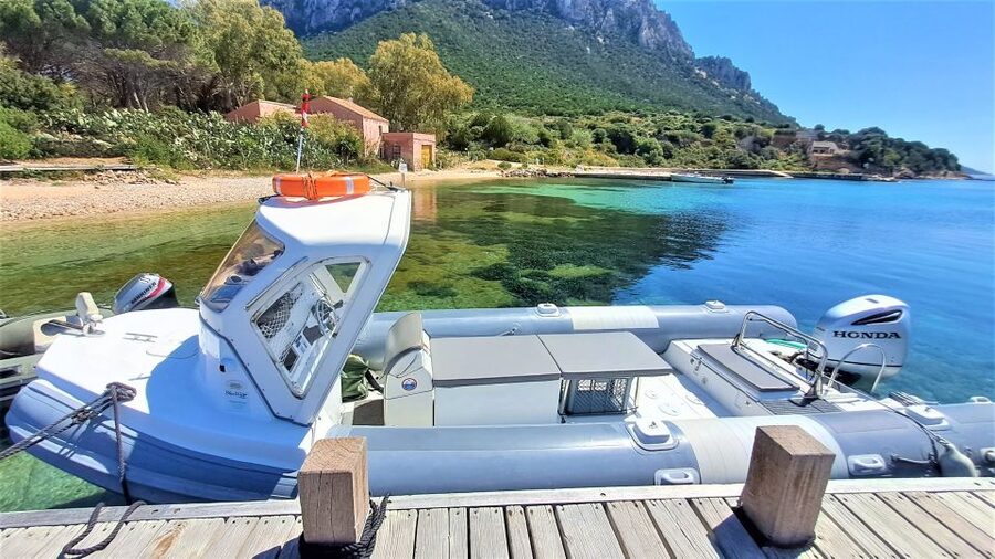 From Olbia: RIB Tour to Capo Figari with Dolphin Sighting - Who will enjoy this RIB tour most