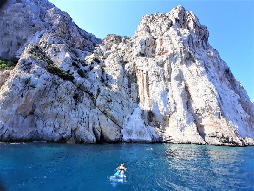 From Olbia: RIB Tour to Capo Figari with Dolphin Sighting - Is the Capo Figari dolphin tour worth booking?