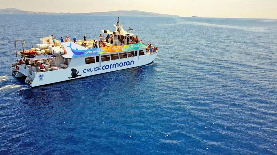From Paguera: Dolphin Watching Cruise in a Glass-Bottom Boat - Key points to know before you book