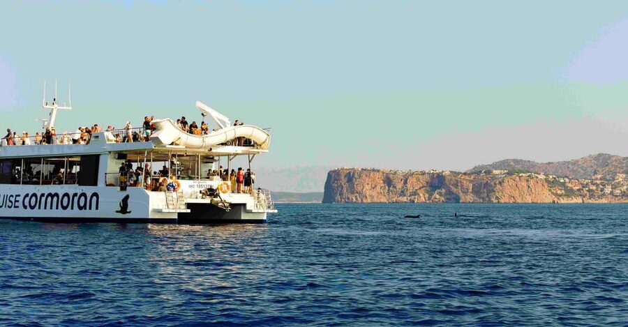 From Paguera: Dolphin Watching Cruise in a Glass-Bottom Boat - Sea conditions and motion sickness