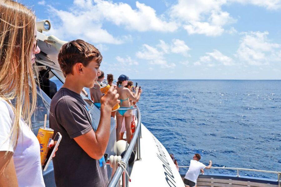 From Paguera: Dolphin Watching Cruise in a Glass-Bottom Boat - Who should book this cruise?